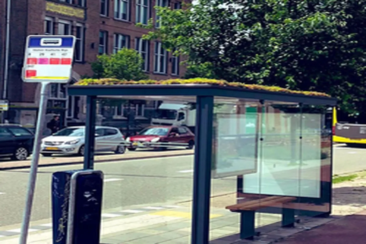 ابتکار یک شهرداری در هلند؛ ایستگاه اتوبوس برای زنبورها!