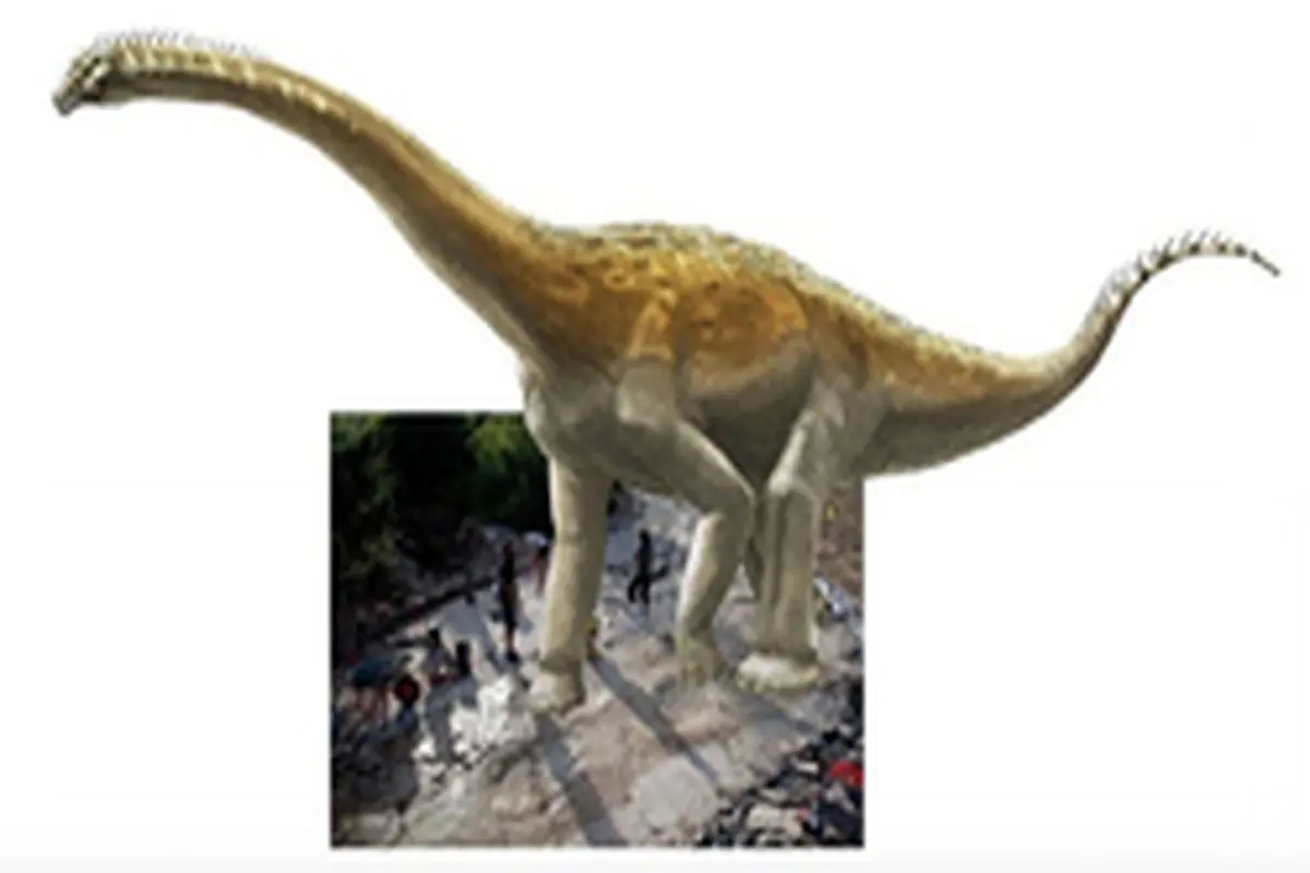 بزرگترین ردپای به جا مانده از دایناسور‌ها در جهان +عکس