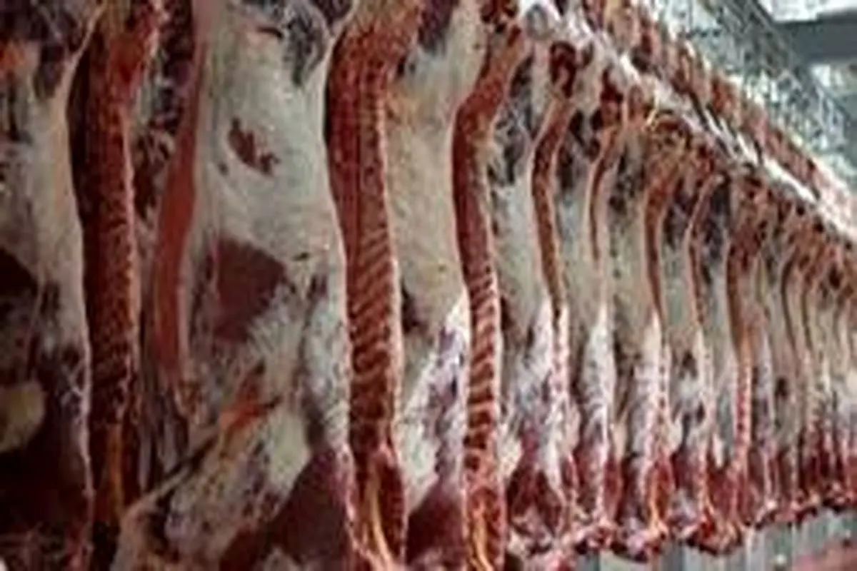 واردات گوشت به کشور ۲ برابر شد