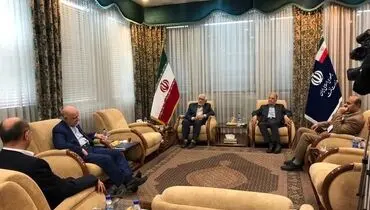 دیدار وزرای سابق نفت با زنگنه