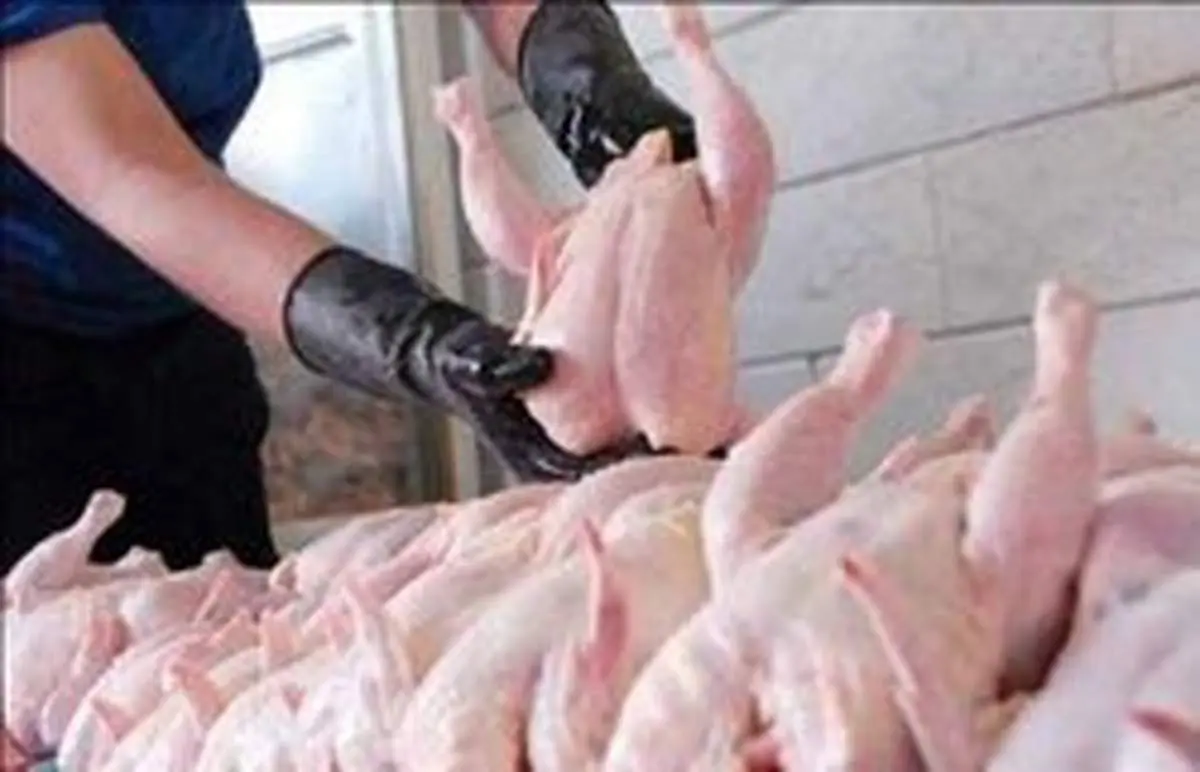 سازمان حمایت: مرغ بالاتر از قیمت ۱۲۹۰۰ گرانفروشی است