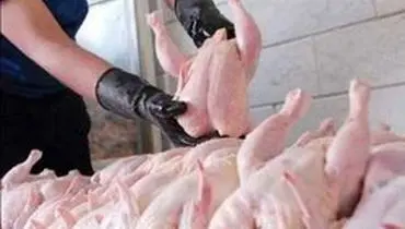 سازمان حمایت: مرغ بالاتر از قیمت ۱۲۹۰۰ گران‌فروشی است