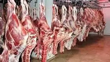 گوشت گوساله به کیلویی ۵۶ هزارتومان رسید