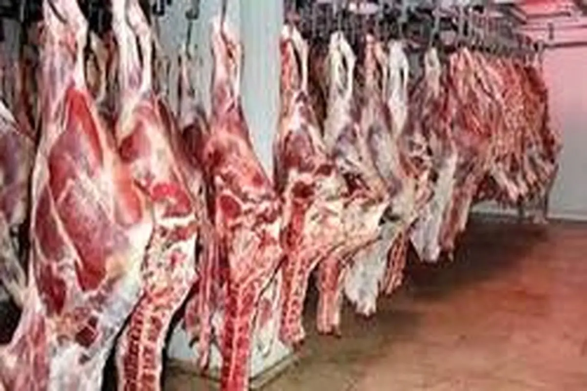 گوشت گوساله به کیلویی ۵۶ هزارتومان رسید