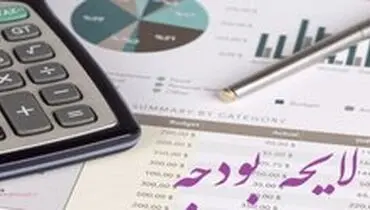 کنترل خرج و برج؛ نظارتی که گروگان‌گیری تعبیر می‌شود