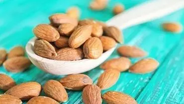 تاثیر شگفت انگیز آجیل در رژیم غذایی کودکان