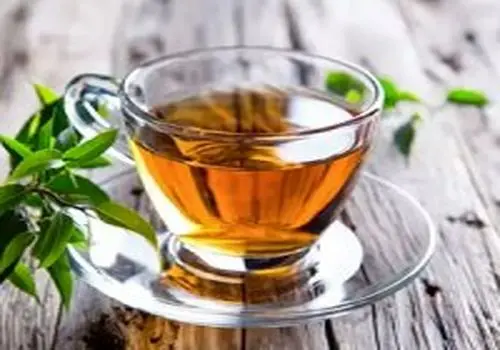 ۷ دمنوش گیاهی مؤثر برای  استروژن در زنان!