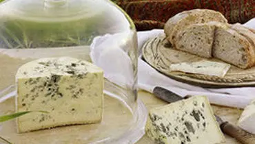 روش صحیح نگهداری از پنیر