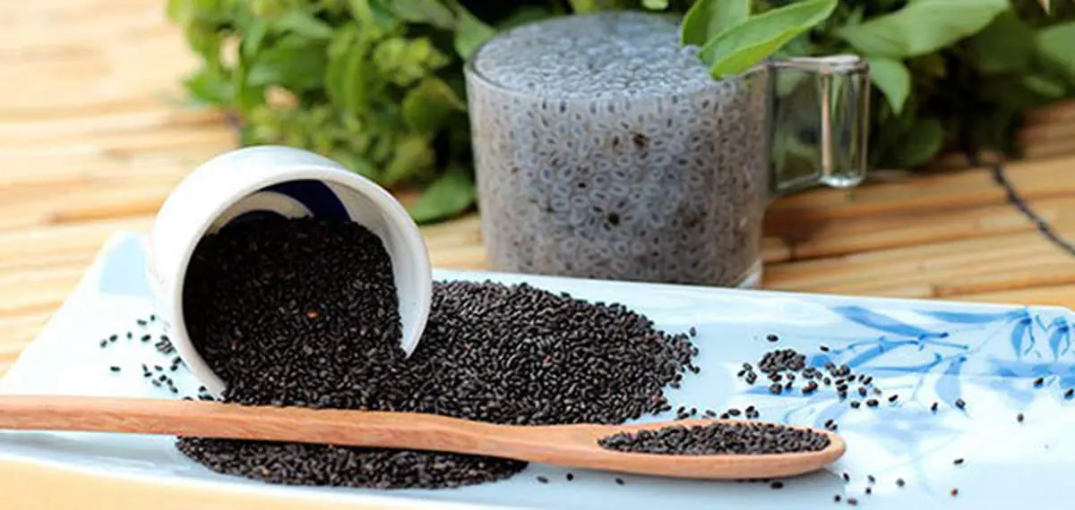 فواید دانههای ریحان؛ از خنککنندگی تا کاهش استرس