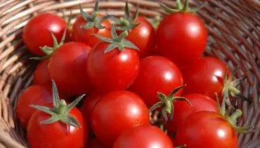 با مصرف گوجه فرنگی جلوی این بیماری‌های خطرناک را بگیرید