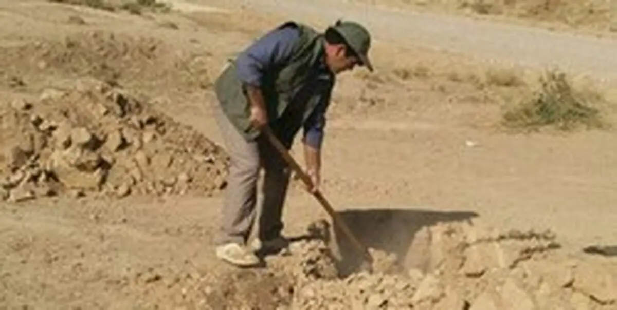 کاشت ۳۵۰ میلیون درخت در یک روز+عکس