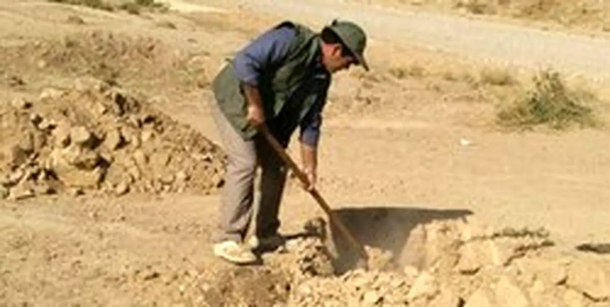کاشت ۳۵۰ میلیون درخت در یک روز+عکس