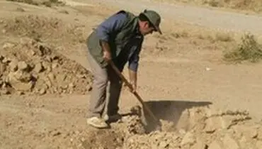 کاشت ۳۵۰ میلیون درخت در یک روز+عکس