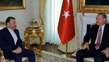 واعظی و اردوغان دیدار و گفتگو کردند
