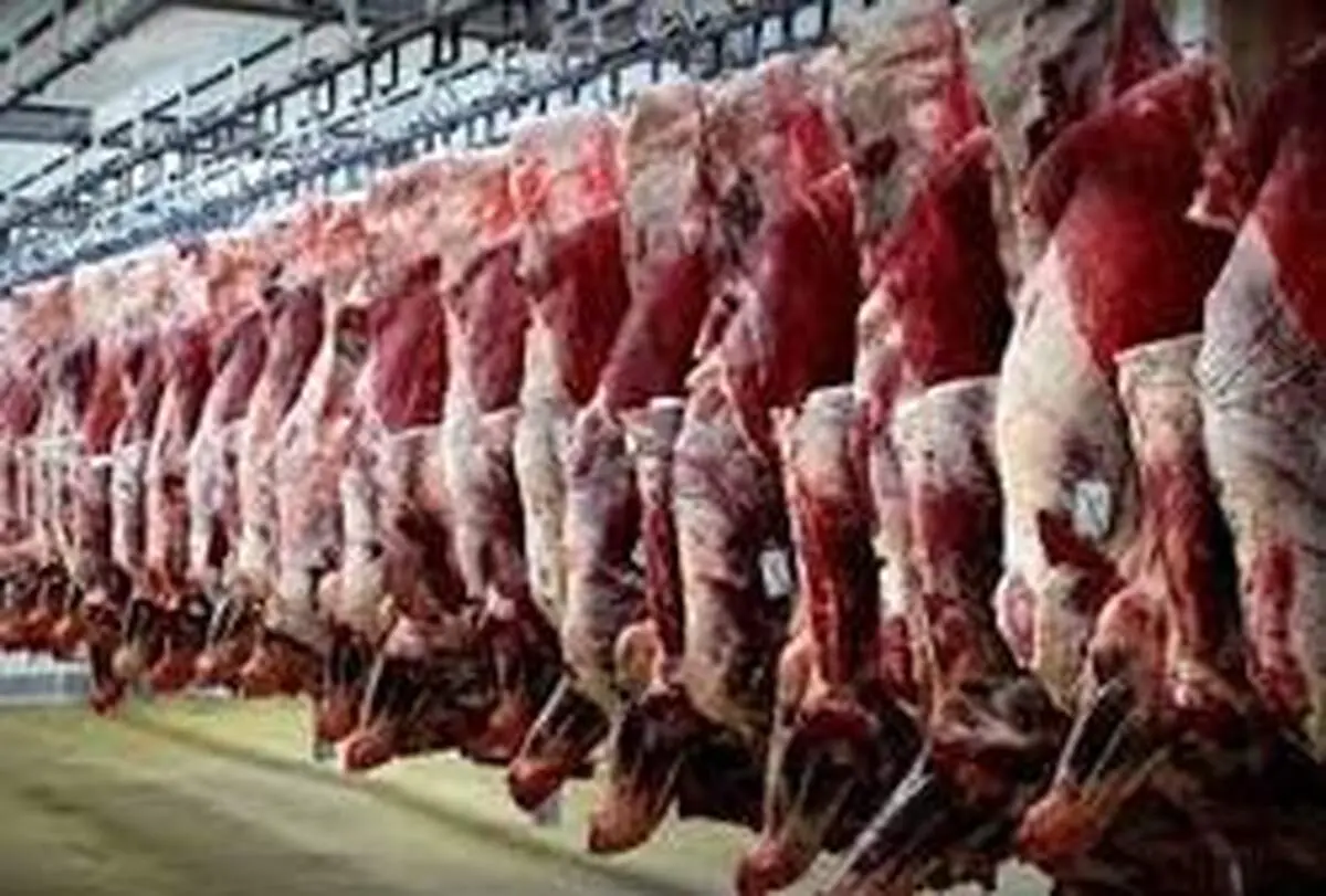 دپو گوشت قرمز در بنادر صحت ندارد