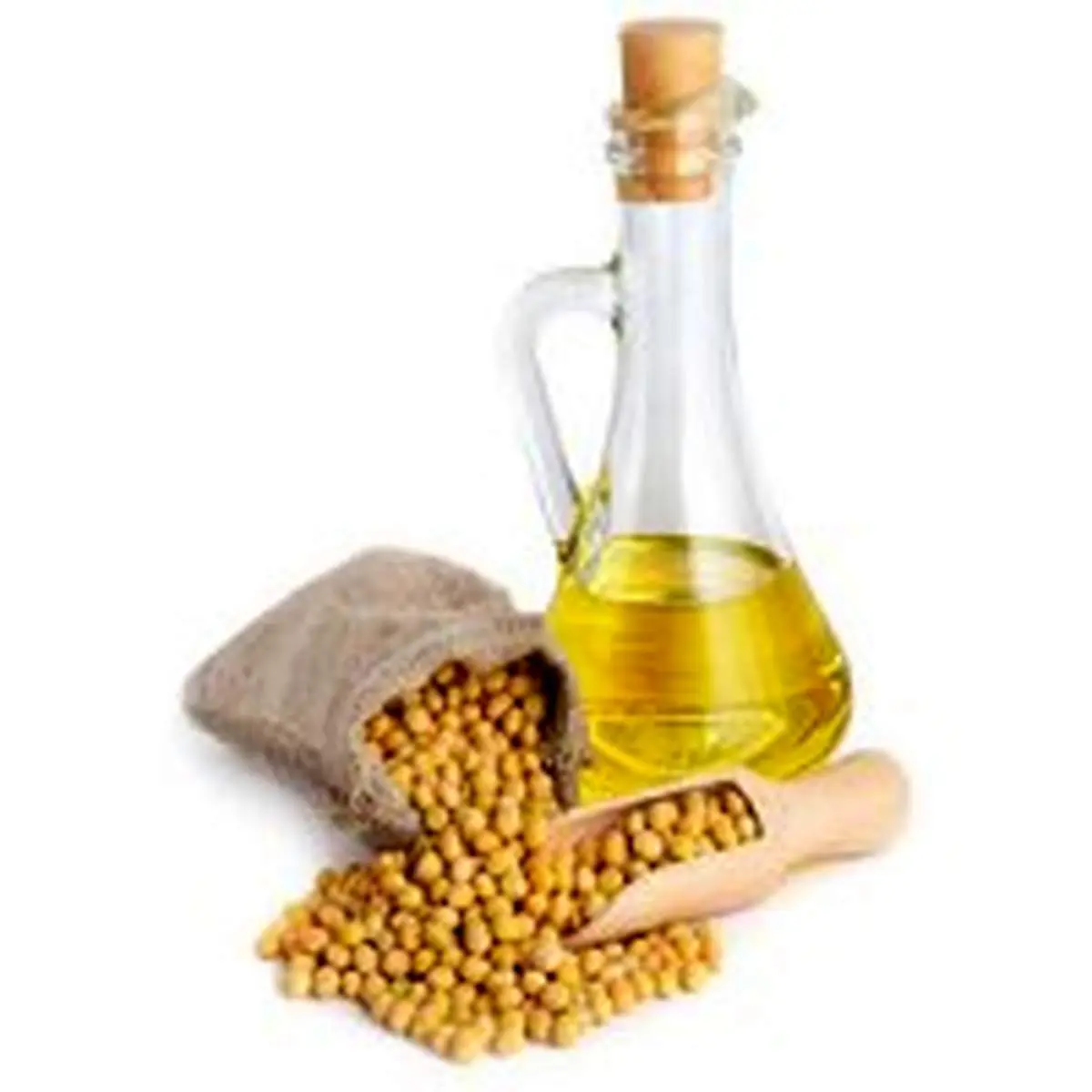 نقش روغن سویا در ابتلا به بیماریهای قلبی و سرطان