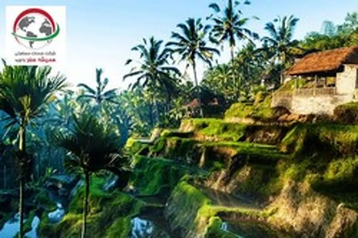 اقامت در بالی