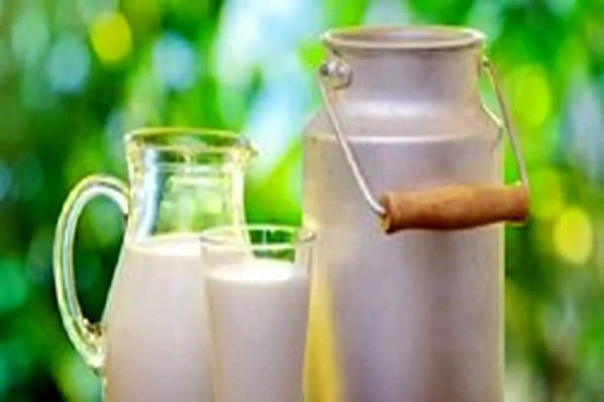 شیری که بیشترین تاثیر را بر روی محیط زیست دارد