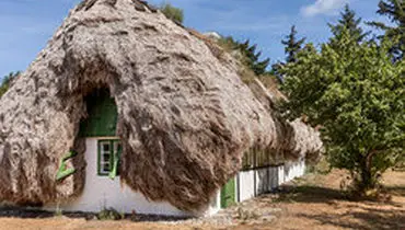 ﻿
خانه‌هایی جالب با سقفی از جلبک