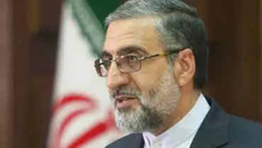 سخنگوی قوه قضائیه: سعید ملک‌پور از مرز خارج شده است