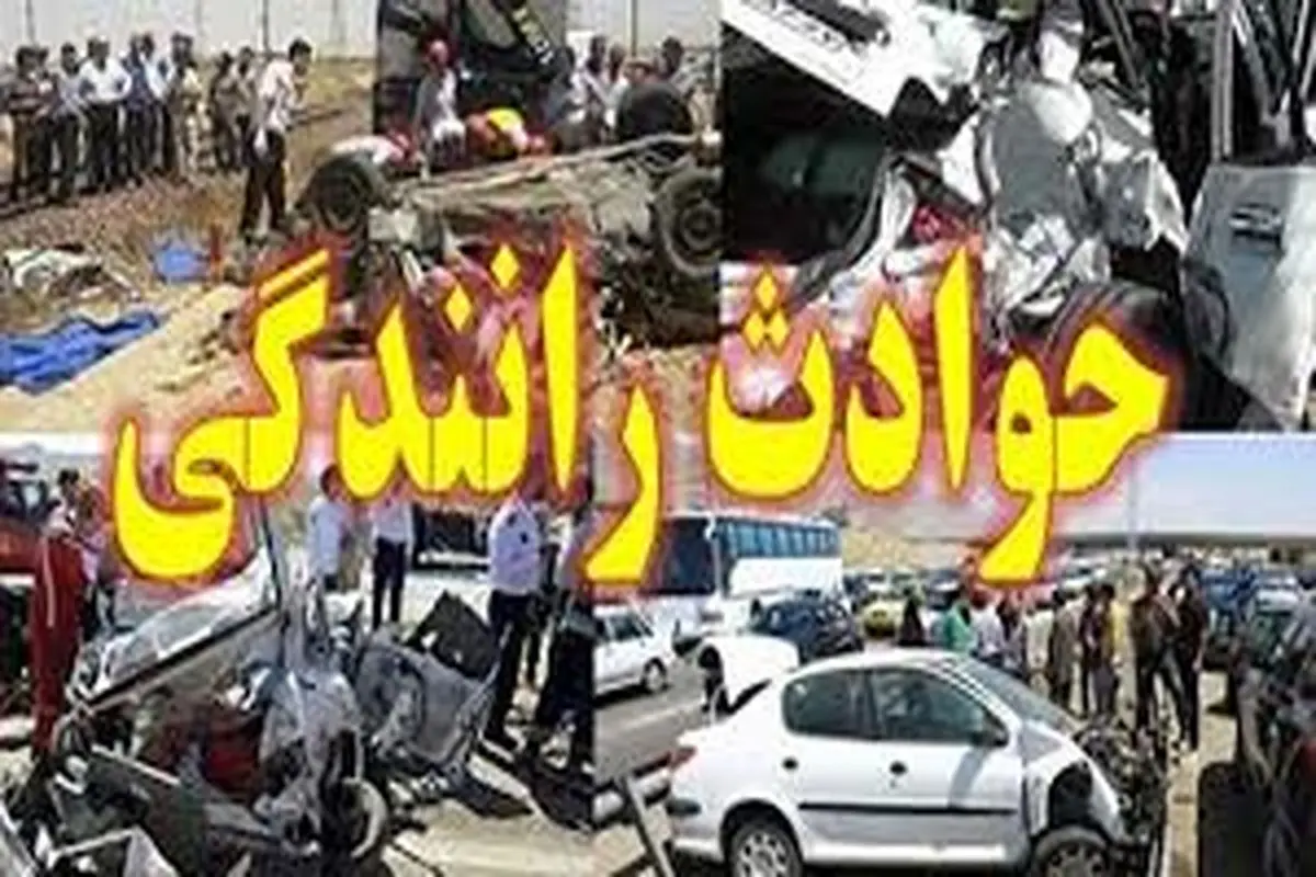 توضیح سخنگوی قوه قضائیه در مورد قوانین جدید رانندگی