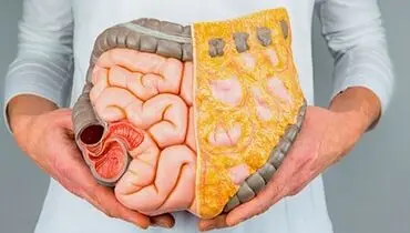 بررسی تاثیر سلامت دستگاه گوارش روی سلامتی بدن