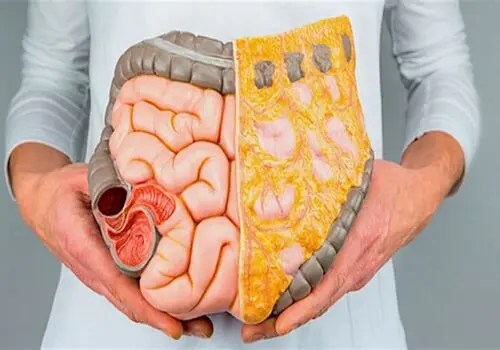 پاکسازی دستگاه گوارش فقط با این نوشیدنی خانگی