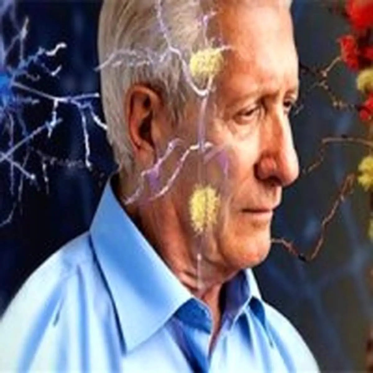 سرنخ‌هایی از آلزایمر در کبد