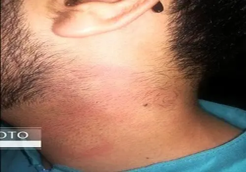 پرونده حمله مسلحانه به خانواده مهندس ایرانی روی میز قوه قضائیه