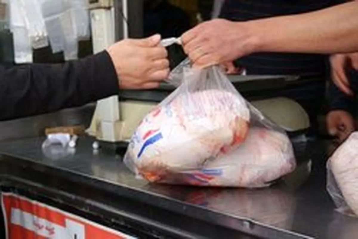 علت گرانی مرغ در بازار چیست؟