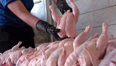 آغاز واردات گوشت‌مرغ در صورت کم‌نشدن قیمت‌ها
