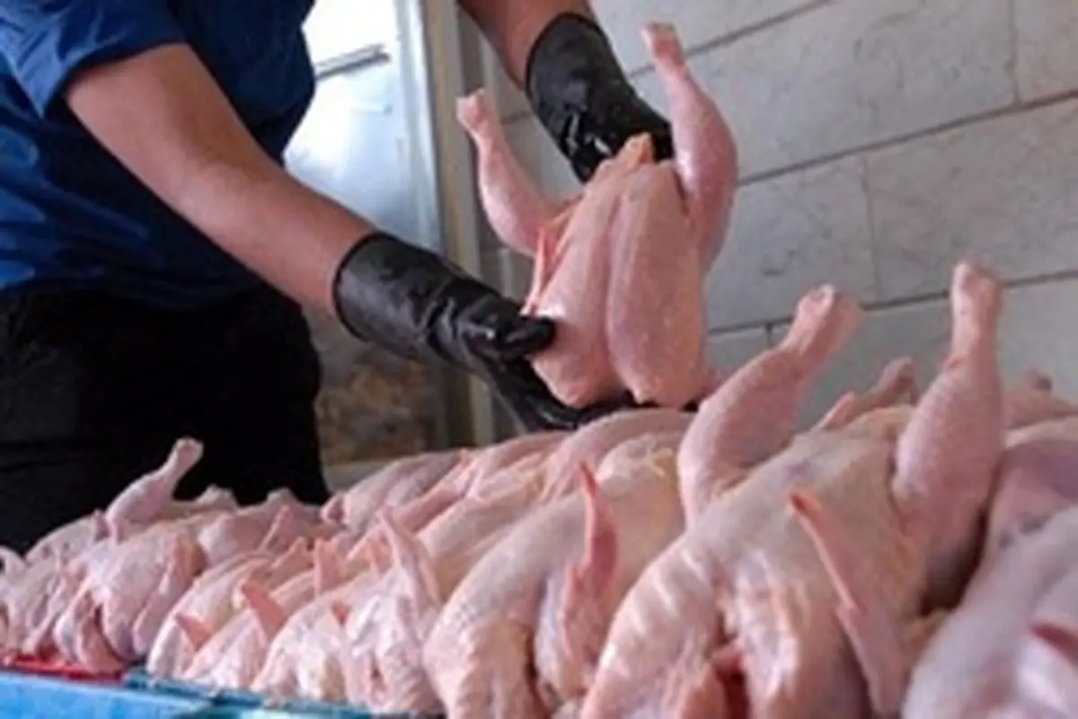 وزیر کشور: قیمت مرغ به ثبات می‌رسد