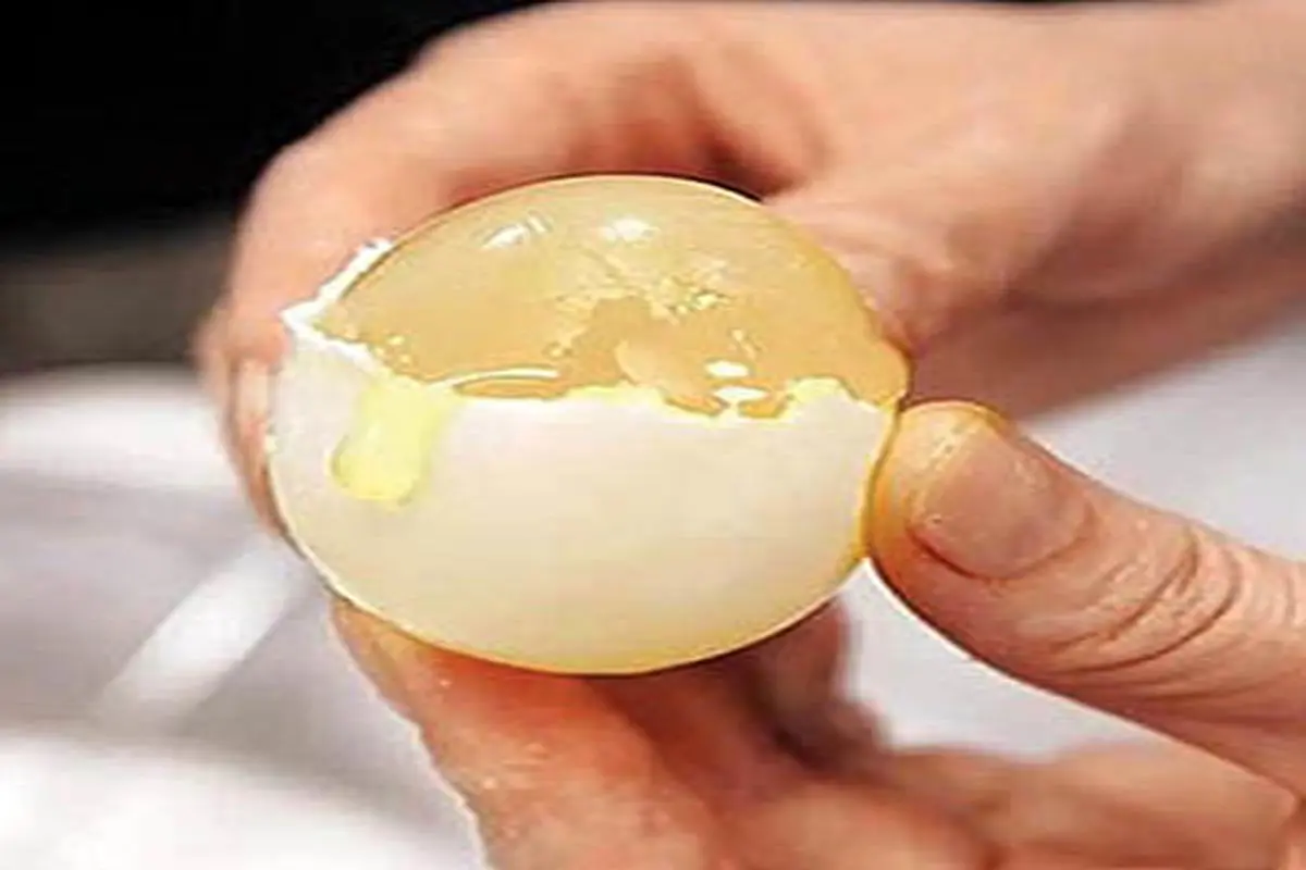 فیلم/تخم‌مرغ پلاستیکی وارد بازار شده؟!