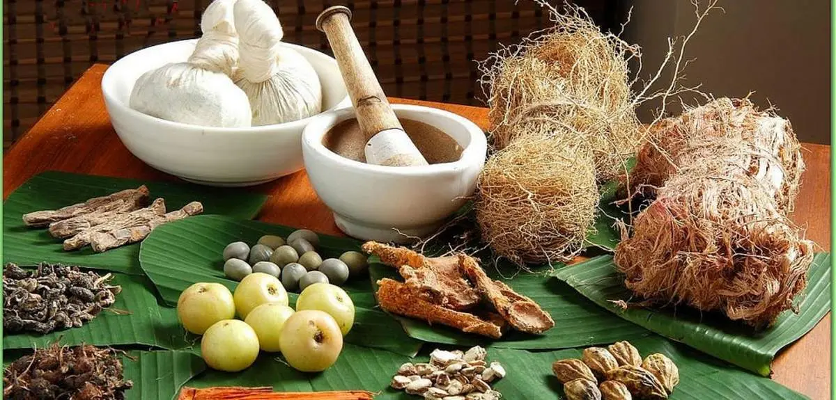نسخه گیاهی برای درمان زانودرد