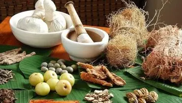 نسخه گیاهی برای درمان زانودرد