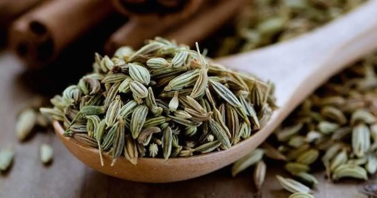 با خواص رازیانه آشنا شوید