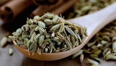 با خواص رازیانه آشنا شوید