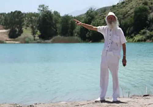 تار عنکبوت به کمک خودروسازها می آید
