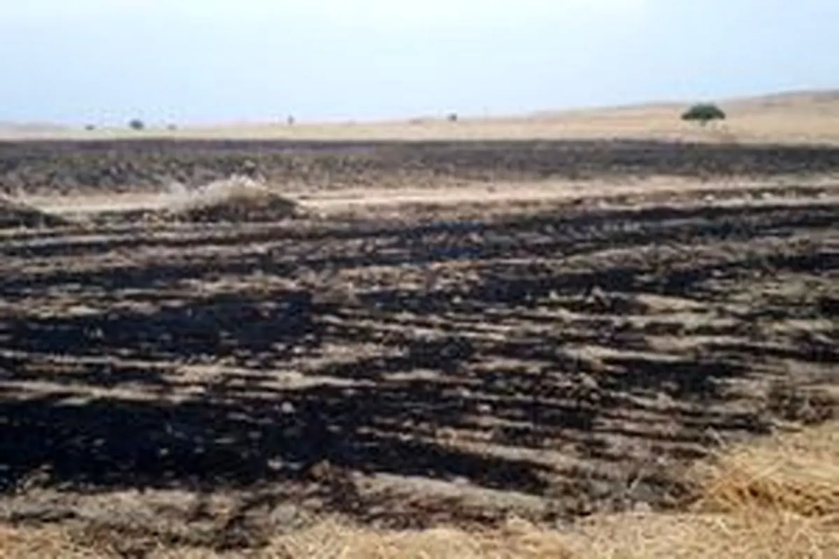 معمای زمین‌های سوخته
