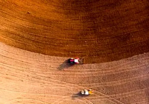 راهنمای کامل نگهداری و تکثیر گیاه آلوئه ورا در خانه
