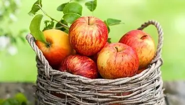 چرا سیب مهم‌ترین میوه دنیاست؟