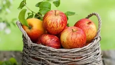 چرا سیب مهم‌ترین میوه دنیاست؟