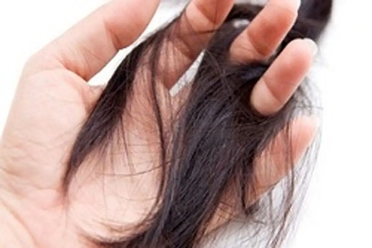 ۴ تست ساده برای آگاهی از سلامت مو