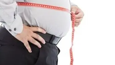 تاثیر چاقی بر کاهش آنتی‌بادی روده