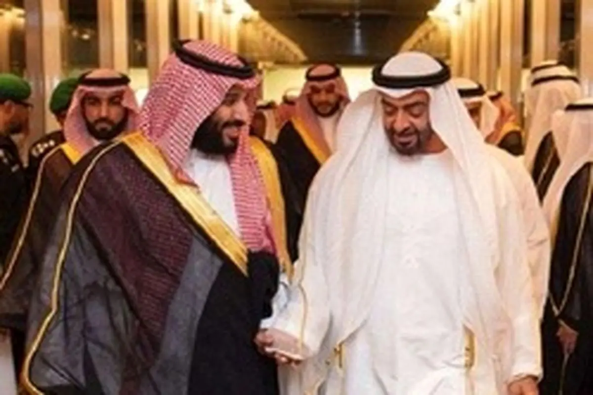 امارات و عربستان عقل و هوش استراتژیک ندارند