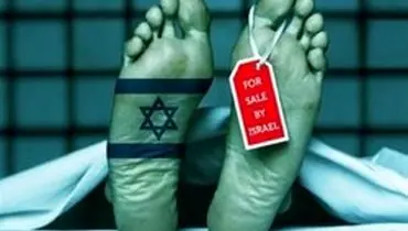 اسرائیل بهشت تجارت اعضای بدن انسان؛مجاز بودن کشتن ملت‌ها در ایدئولوژی صهیونیستی