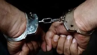 اقدام پلید کارمند در خانه صاحبکارش