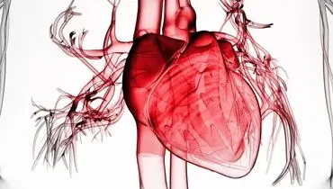 هنگام حمله قلبی چه اقداماتی باید انجام دهیم؟