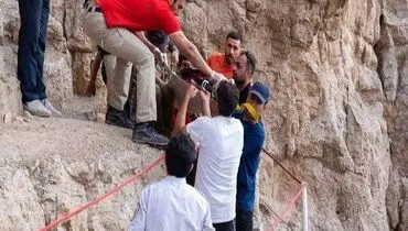کوه صفه‌ی اصفهان قربانی گرفت