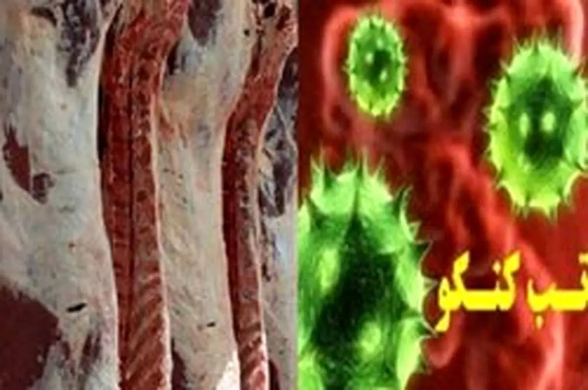 مردم از ذبح غیر کشتارگاهی خودداری کنند